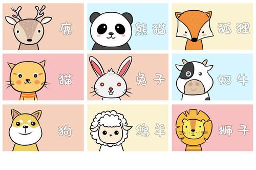  选3只动物,从内而外揭穿最真实的你