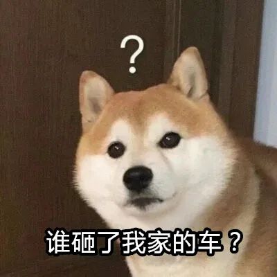  啥情况上海一小区30楼天降钢珠砸中9辆车,200万路虎天窗被砸碎