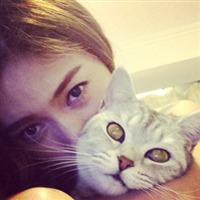 卖萌哒小猫咪qq头像