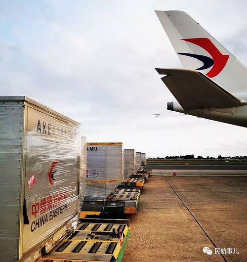  全程仅22小时1250套医用防护服从美国运抵上海驰援抗疫一线