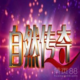  北京黄页88网