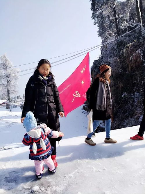  获奖公布保利中央公园醉美雪景摄影大赛完美收官