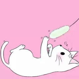 卡通猫的微信头像