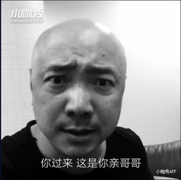  秒拍ceo韩坤明星玩疯了的小咖秀魔性在哪儿
