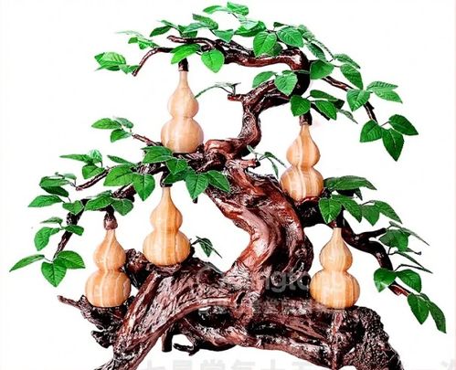  葫芦究竟摆放在哪里能旺风水