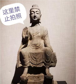  重庆大学耗资670万建了一座赝品博物馆