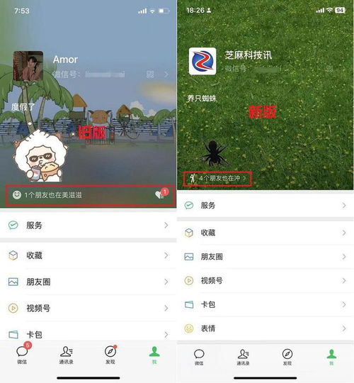  ios微信8.0.36正式版更新了什么ios微信8.0.36更新与下载