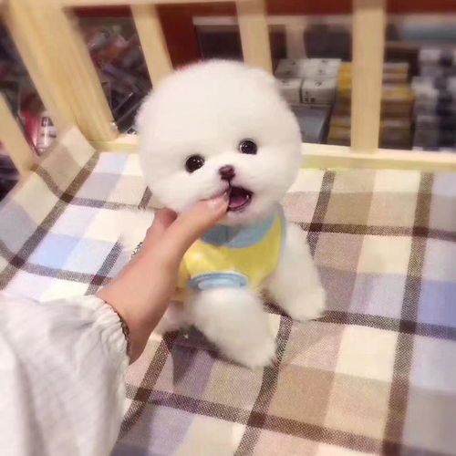  优惠券十大品牌排行榜哪个牌子好淘宝商城天猫商城严选元珍商城