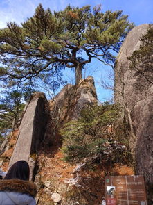 2018黄山之行三人黄山纯徒步游宏村雪景