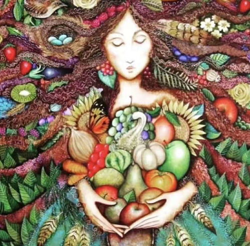  yogala教你如何开始阿育吠陀膳食