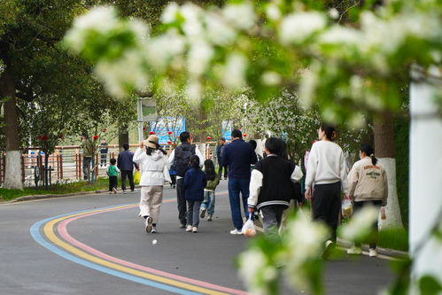  不负春光相逢六合清明假期六合文旅市场春潮涌动