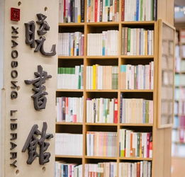  高晓松在杭州开图书馆,安藤忠雄的设计,美炸天还是纯公益