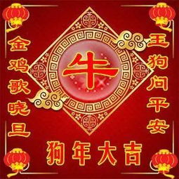  恭喜发财狗年大吉特为你送上精美的手机迎春壁纸微信头像