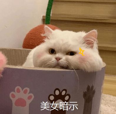  短袖高腰下装,今夏必火