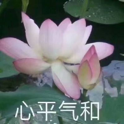 2021年佛头像双子座