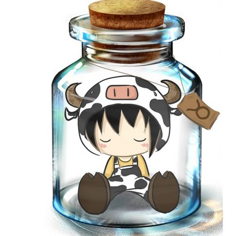  瓶子里的十二星座壁纸