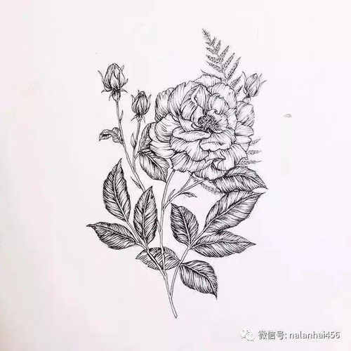  好画好学还好美的手绘,自带仙气的少女线稿掌握它对于你的线条帮助很大