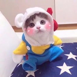  头像该换个微信头像了
