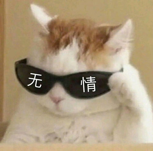  纯爱推文合集拯救书荒三十七期