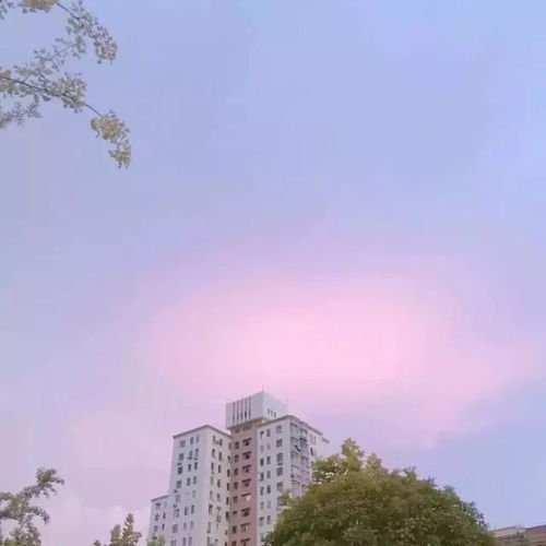  头像篇我爱你的不止是模样