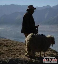  藏族人的崇羊习俗