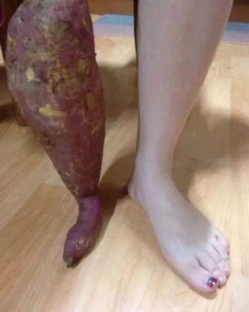  抖音这张逗笑5000万人的照片,却把我妈看哭了