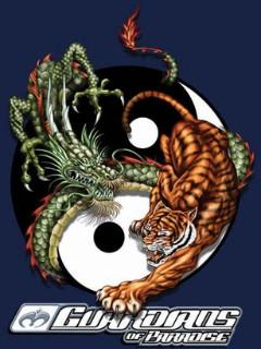  跪求龙与虎qq皮肤