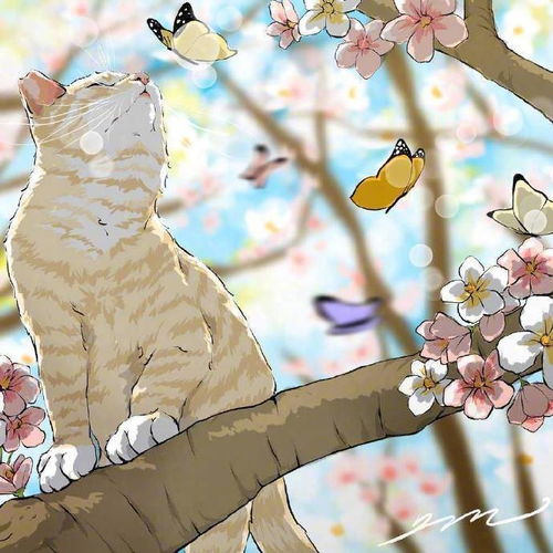 温州出名好的留学日语培训中介樱花日语