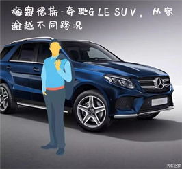  奔驰车主画像快来看看你是什么样子