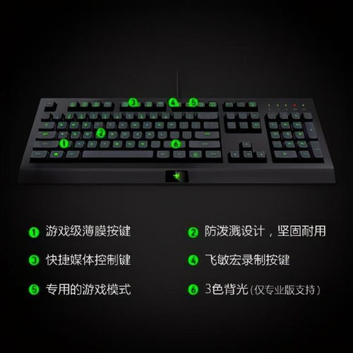  京东杯s2燃至沸点,斗鱼独家直播见证王者诞生