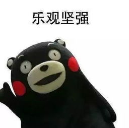 熊本熊头像不带字夸夸群