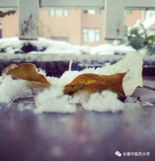  降温了,除了穿秋裤长中大人还可以这样