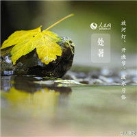  带有处暑的风景唯美头像处暑满地黄