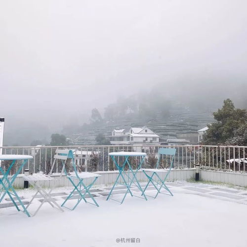  6点起床去西湖看雪已爆满但这些民宿只要躺着就可以看到杭城无与伦比的雪景