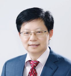  重庆大学宋永端教授当选ieeefellow