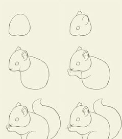  100种动物简笔画画法,拿去临摹