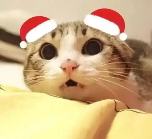  不加一个圣诞帽都感觉跟不上潮流...