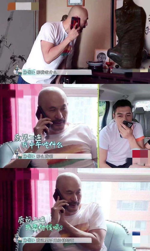  汪涵黄晓明打字都变一指禅,明星光环外的他们生活技能脱节