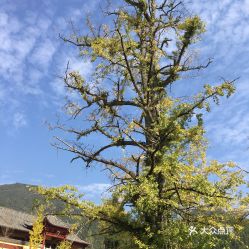  电话,地址,价格,营业时间宜春周边游