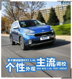  韩国对平行进口