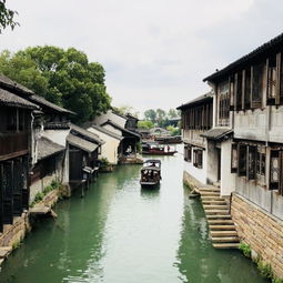  两天一晚一人秋游乌镇指南南方的秋天是绿色的