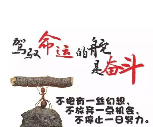  股权和控制权的关系