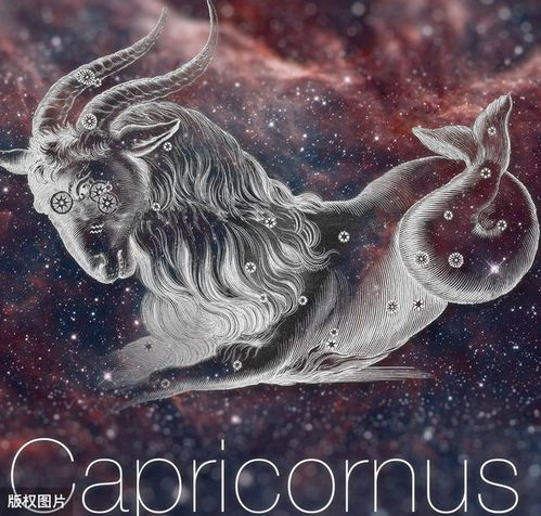  12星座恋爱心理分析,猜透你的小心思