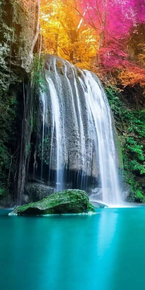  最美版本高山流水,送给真正懂你的人