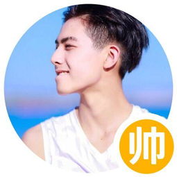  一个有趣的头像,能让你成为朋友圈的万人迷