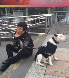  极限挑战上海录制黄渤牵孙红雷现街头
