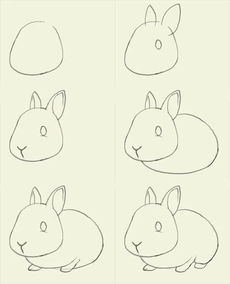  100种动物简笔画画法,拿去临摹