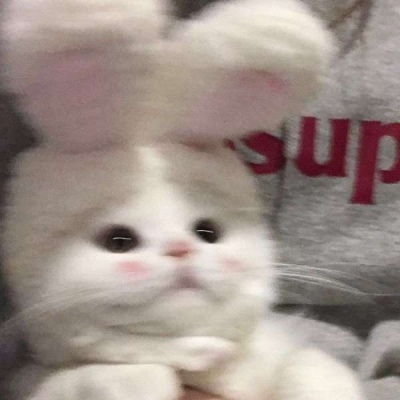  可爱又沙雕的动物头像a
