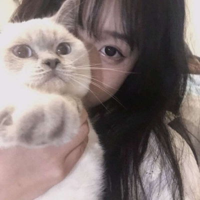 孤独黑暗的猫头像伤感的
