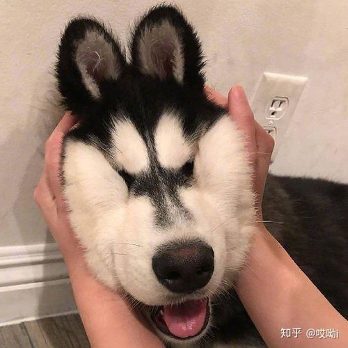  心情不好运动有效果吗